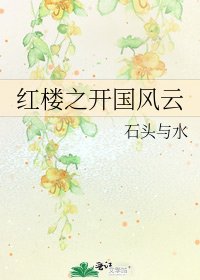 红楼之开国风云