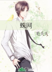 蛛网